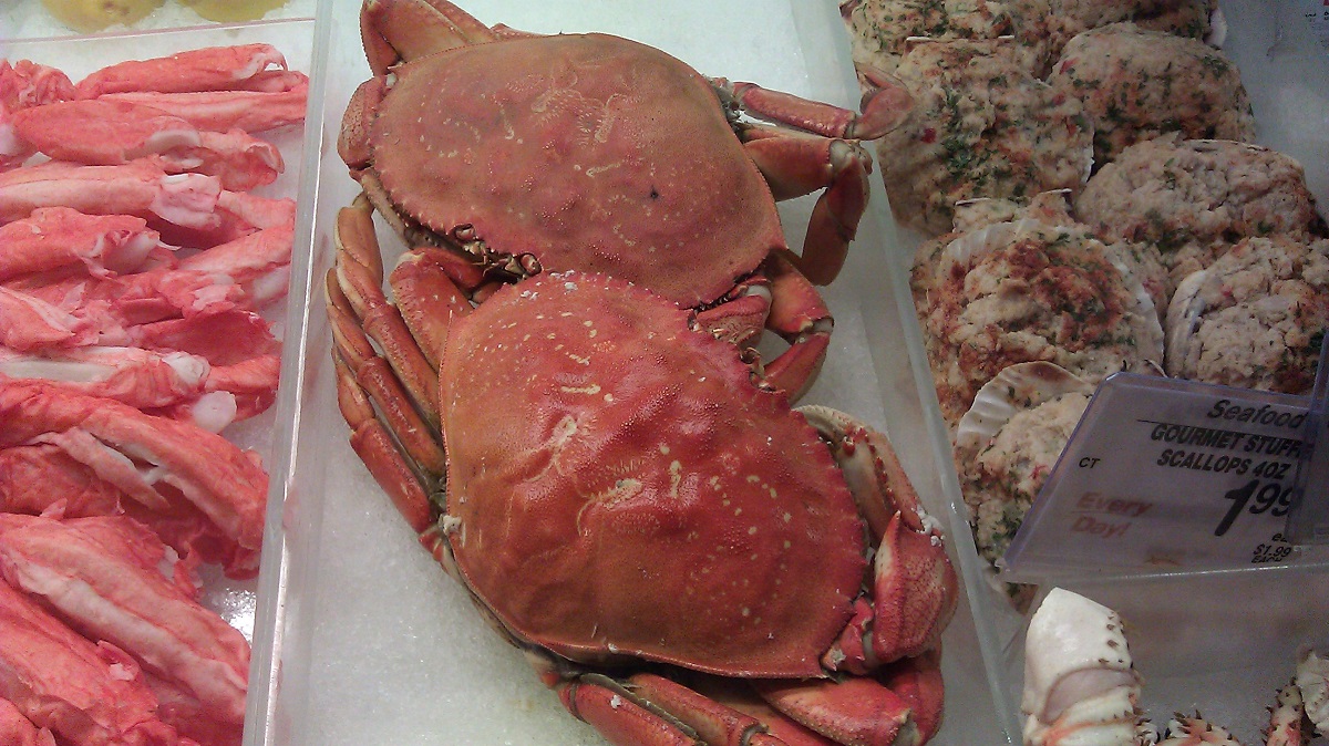 Cooked Dungeness Crabs