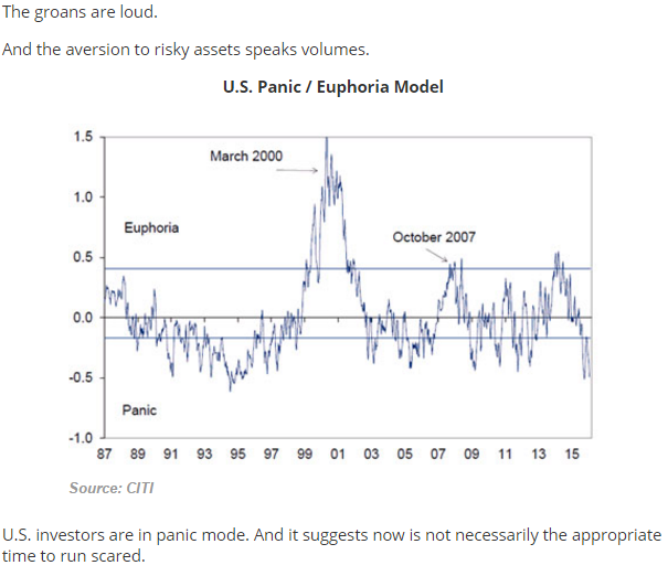 Citigroup Panic/Euphoria Model